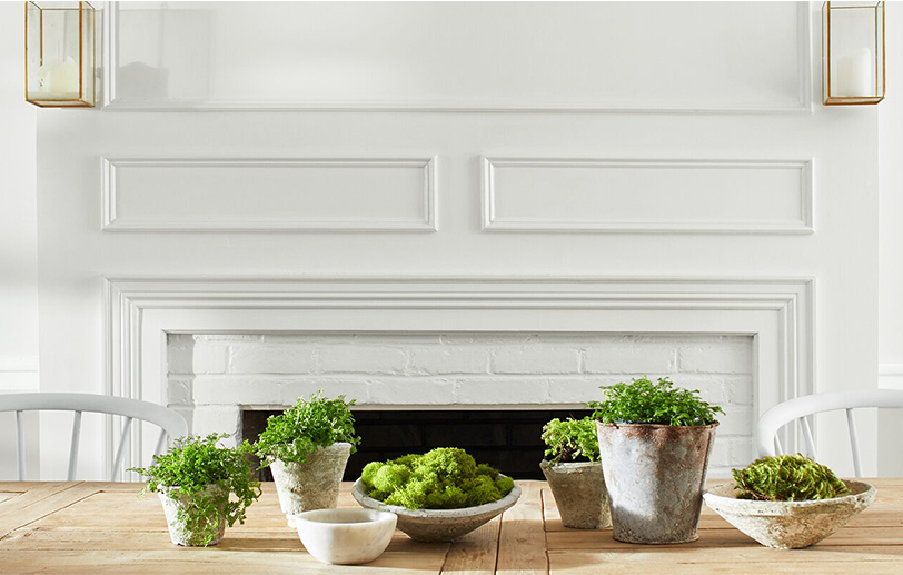 Comedor con paredes blancas, mesa de madera grande, plantas y sillas. Comedor con paredes blancas, mesa de madera grande, plantas y sillas.